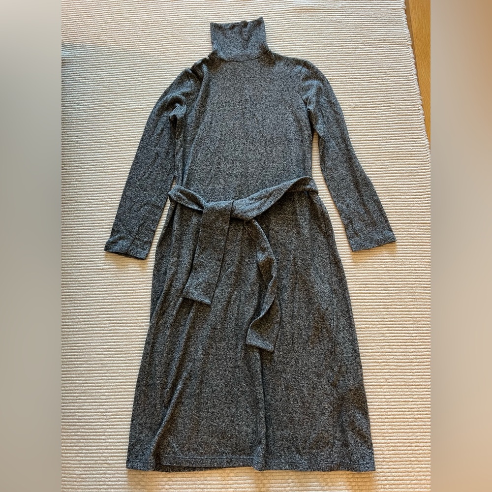 Zara Turtleneck Dress